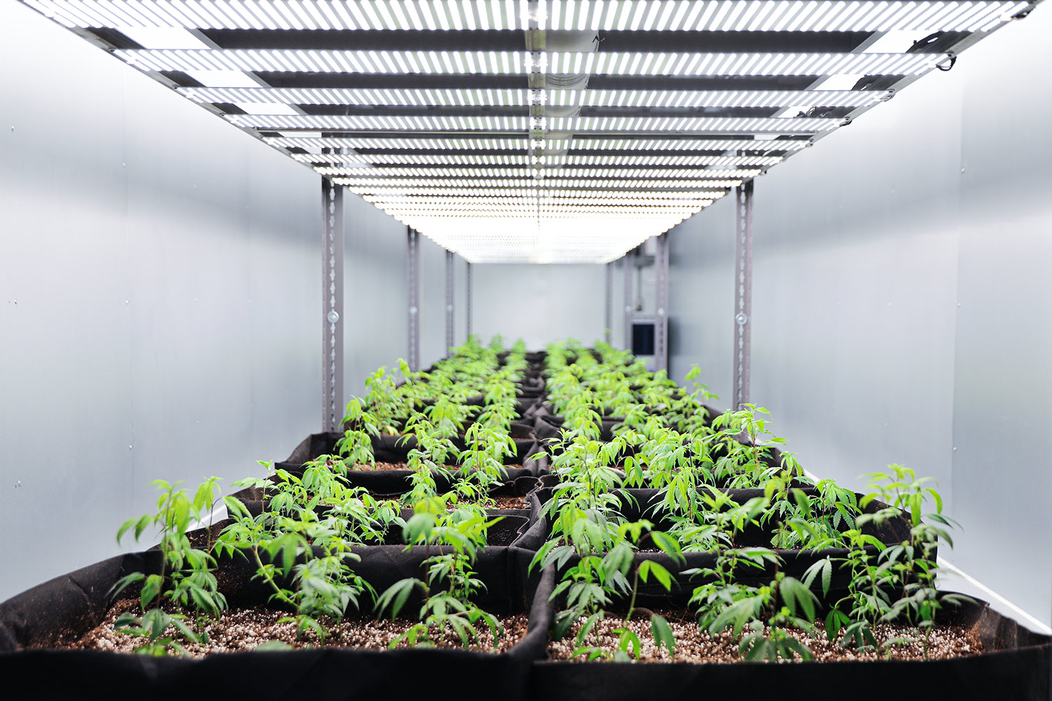 Micro Lab Farms Offers The Fastest, Most Efficient Pathway to Cultivate