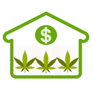 Commercial Marijuana Greenhouse