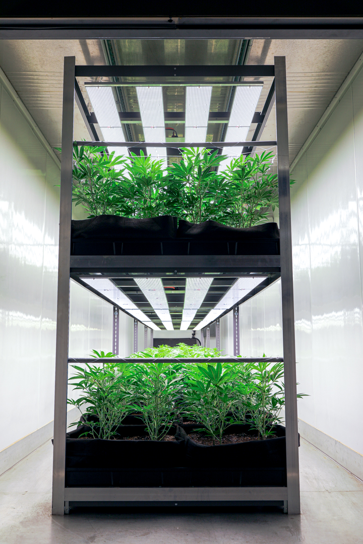 Customer Gallery Marijuana Container Farming