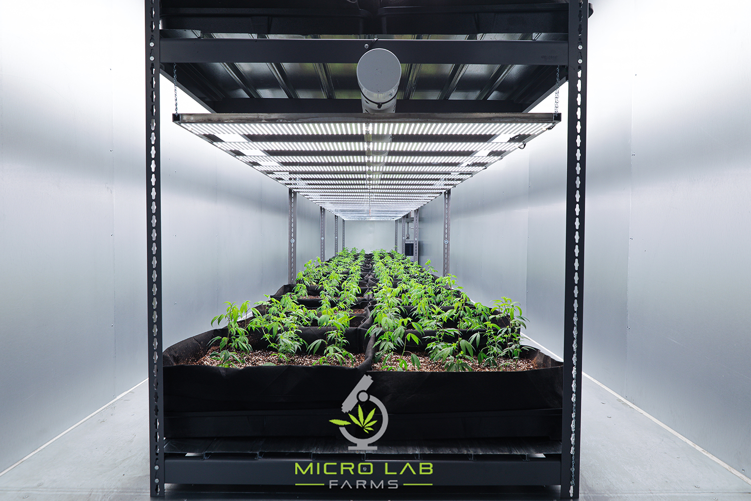 Supporting the Increase in Consumption with Indoor Farming